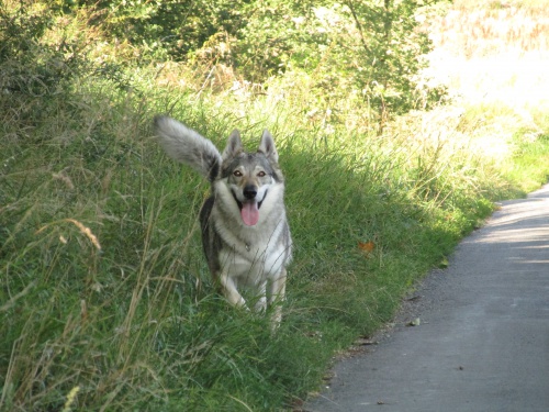 Rezervace �t��at