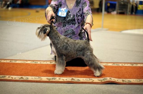 Kn�ra� mal� pep� a s�l