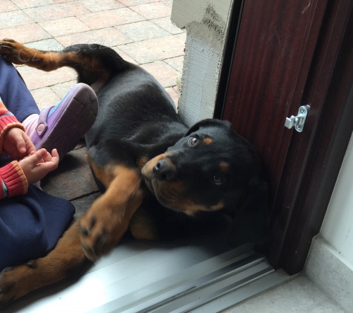 Prod�m 9 m�s��n� �t�n� RV