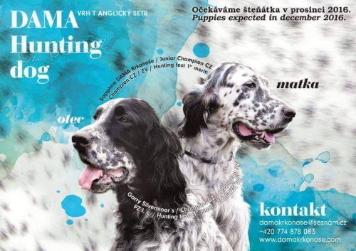 �t��ata anglick�ho setra s PP