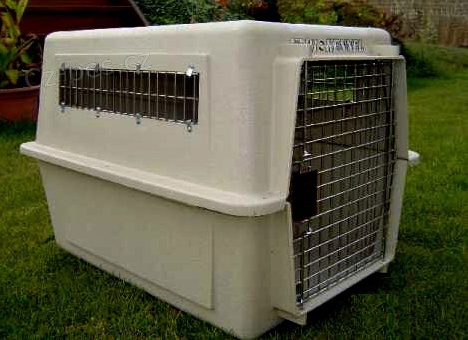 P�epravka/box pro psy Vari Kennel