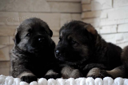 �t�n� n�m�ck� ov��k s PP