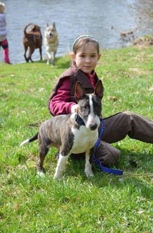 Zad�me �t�n� miniaturn�ho bulteri�ra