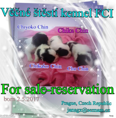 �t��ata s P.P.