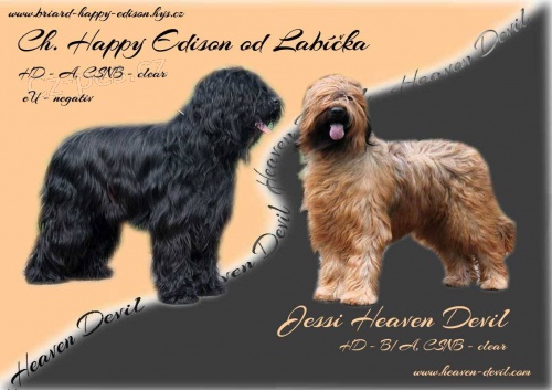 BRIARD plav� a �ern� �t���tka