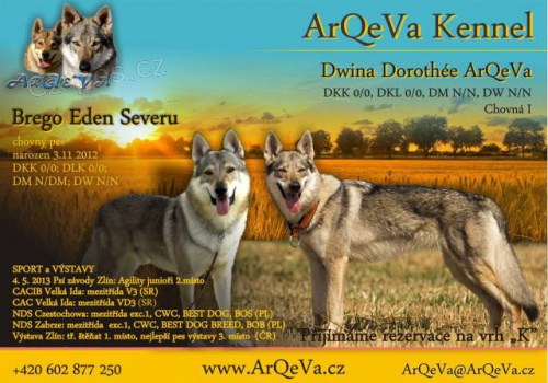 �eskoslovensk� vl��k