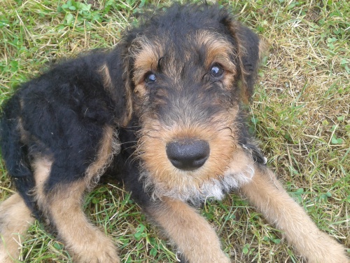 �t�n�tka erdelteri�ra