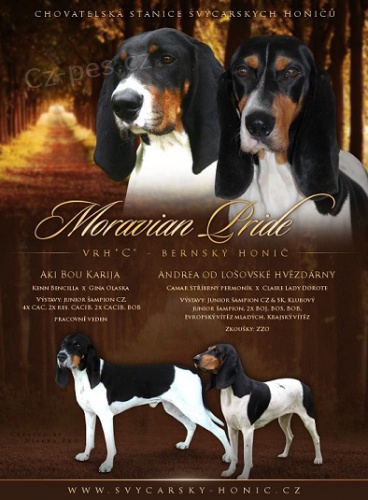 Bernsk� honi� s PP