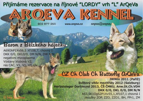 �eskoslovensk� vl��k s PP