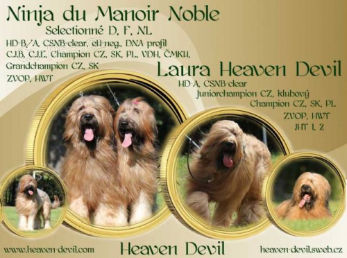 Briard - plav� �t���tka