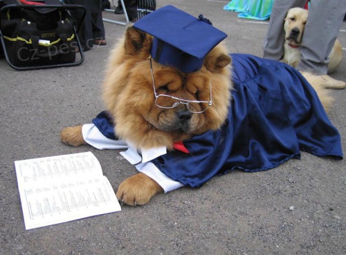 Hl�d�n� a v�cvik ps�