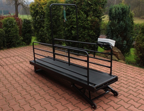 B�eck� trena�er pro psy