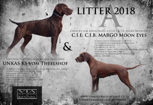 N�meck� oha� kr�tkosrst� - �t��ata