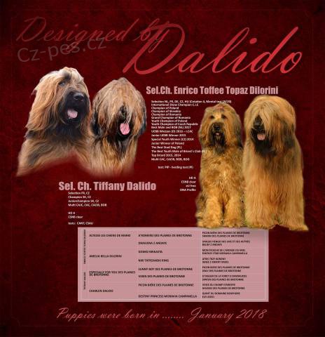 Briard plav� �t���tka