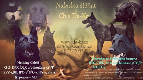 N�meck� ov��k - �t��ata