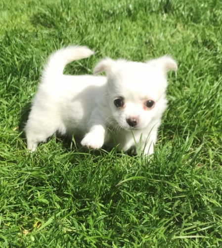  �ivava �t��ata s PP.