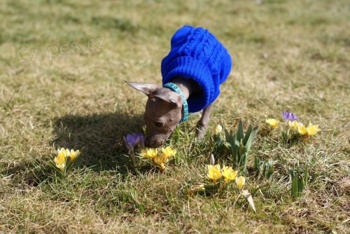 Peru�nsk� nah��