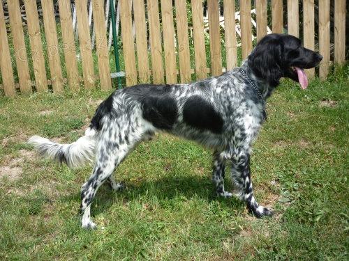 Oha� lovecky upot�ebiteln�