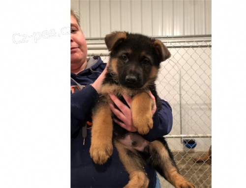 N�meck� ov��k p�ipraven� k p�evzet� s PP*.