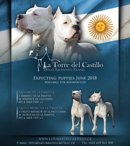 Argentinsk� doga s PP