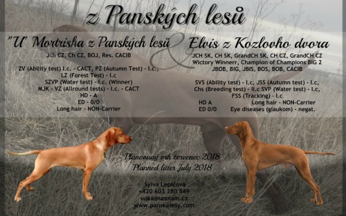 Ma�arsk� oha� kr�tkosrst� 