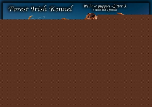 Irsk� teri�r �t�n�ata