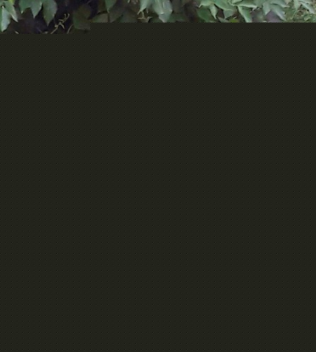 N�meck� ov��k �t��ata s PP