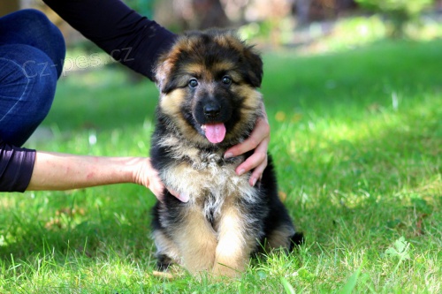 �t��ata NO s PP