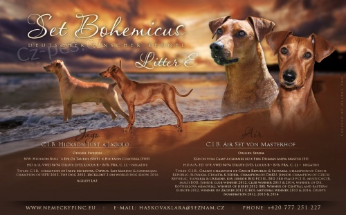 N�meck� pin� s PP FCI