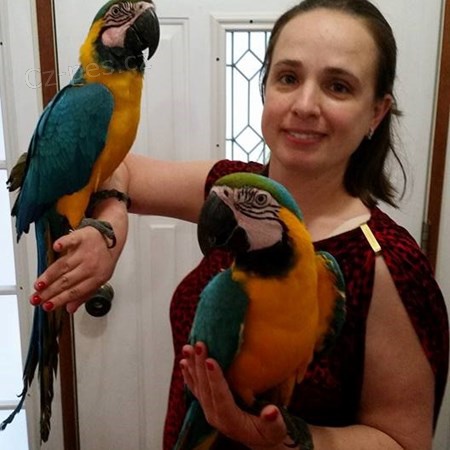 Nab�dka Ara Ararauna papou�ci