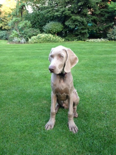 V�marsk� oha� - 5m�s �t�n� 