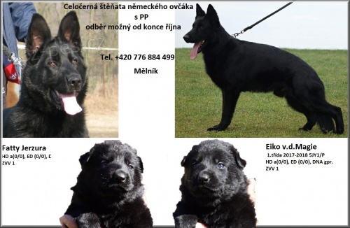 N�meck� ov��k - �t��ata s PP