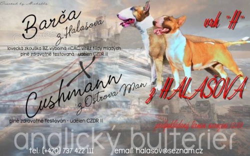 Bulteri�r �t���tka s PP