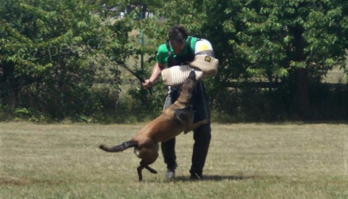 �t�n�tka belgick� ov��k