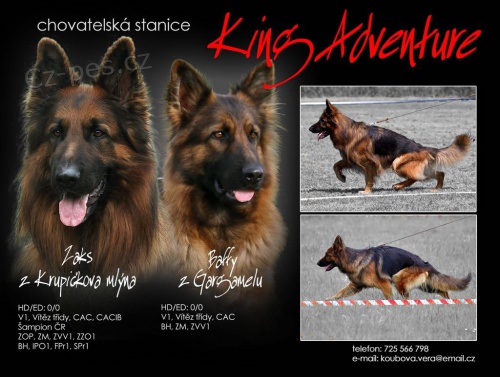 N�meck� ov��k - dlouhosrst�