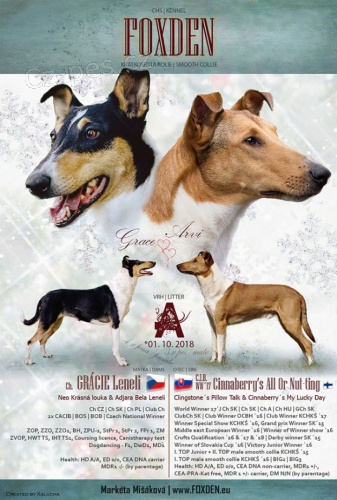 Kr�tkosrst� kolie s PP