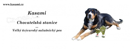 Velk� �v�carsk� sala�nick� pes PP