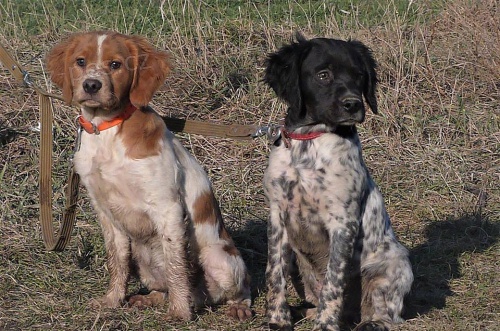 Breta�sk� oha�