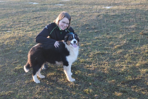 Australsk� ov��k