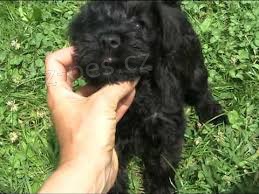 p�ipravena pro v�s kr�sn� �t���tka kn�ra��