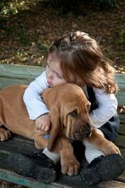 K dispozici �t��ata Bloodhound