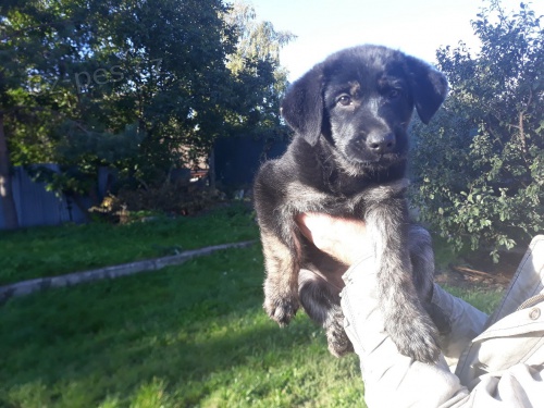 Kr�sn� a vymazlen� �t���tka