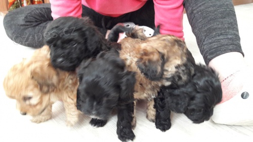 Prod�m �t�nata