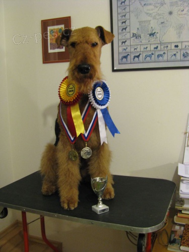 Prod�m �t��ata z opakovan�ho spojen�