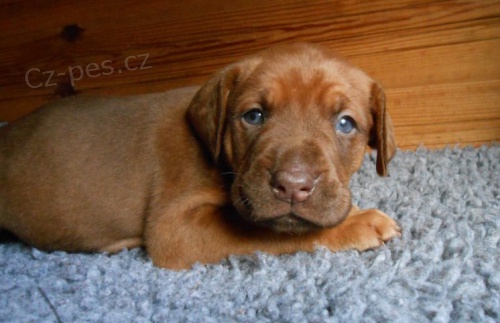 Pro v�ce informac� pros�m kontaktujte.