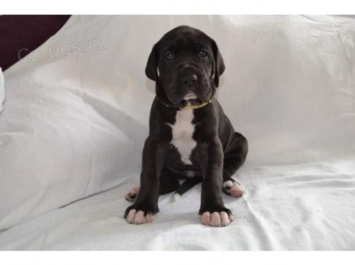 �t��ata z Velk� Dane 10 t�dn�