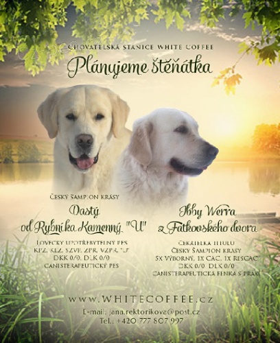 Prod�m �t���tka Zlat�ch retr�vr� s PP