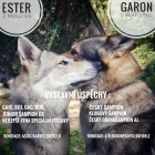 �eskoslovensk� vl��k