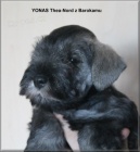 Kn�ra� mal� pep� a s�l s PP