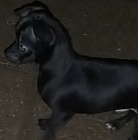 �ivava �t���tka bez pp